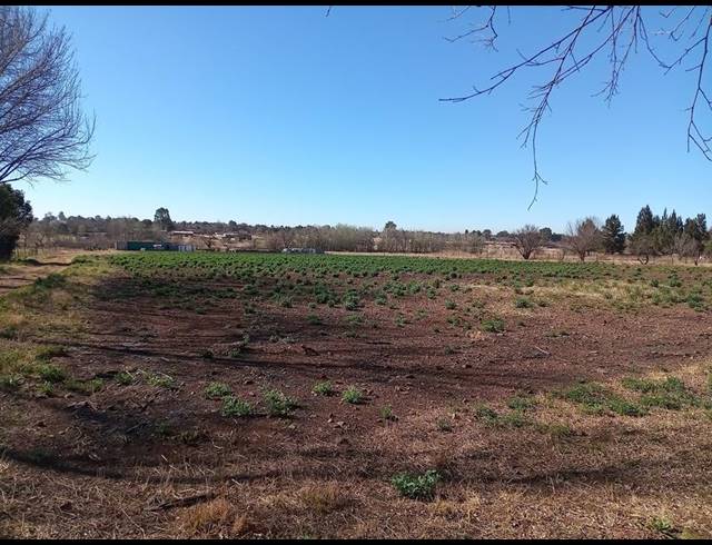 FARM FOR SALE IN ROSASHOF